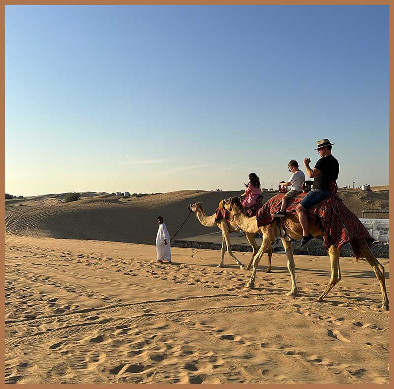 dubai desert camel ride