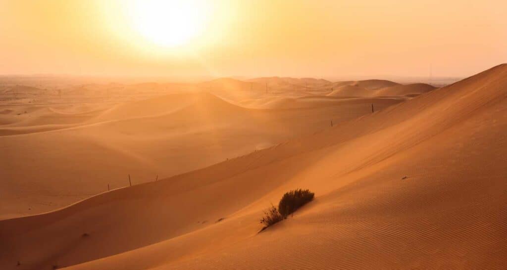 Al Qudra Desert