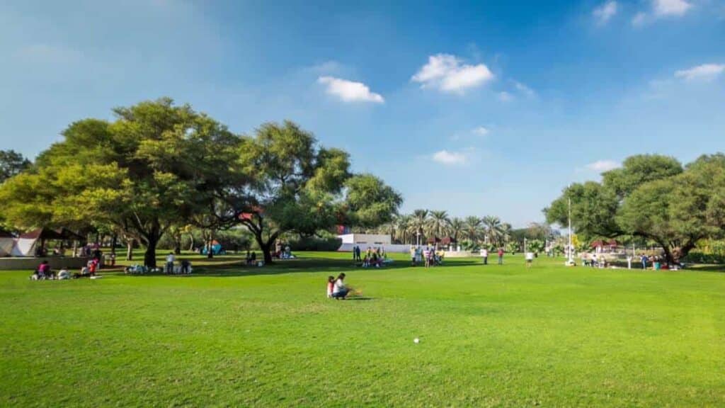 Creek Park for bbq dubai