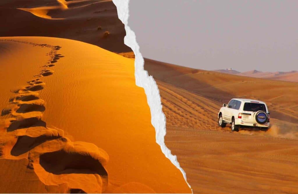 Dubai Evening Desert Safari Complete Overview