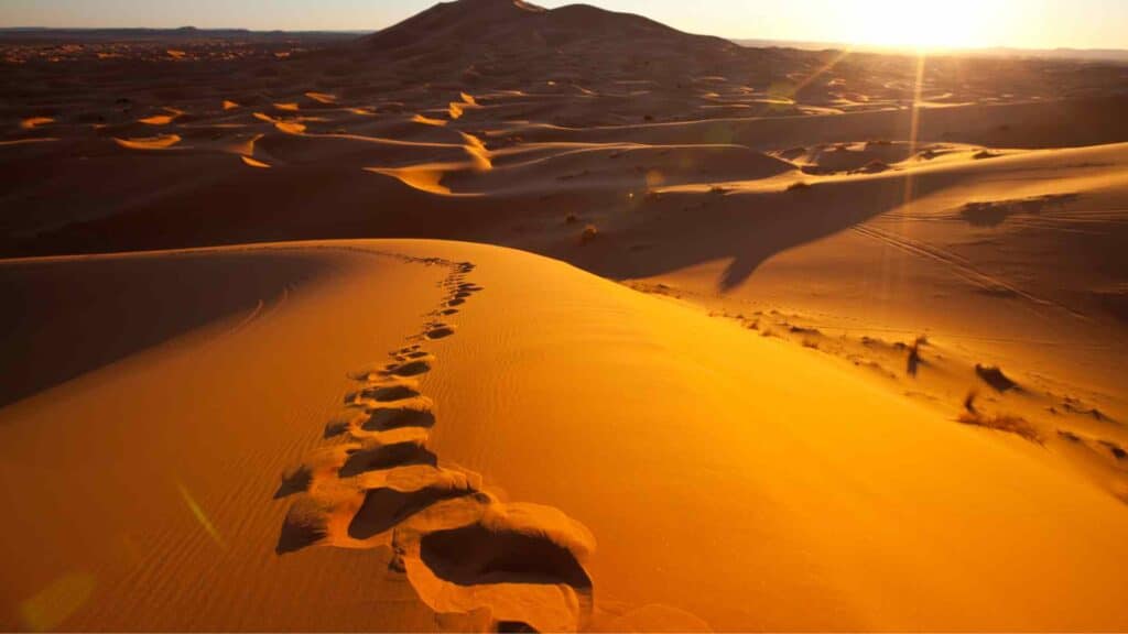 Lahbab Desert (Red Dunes) dubai