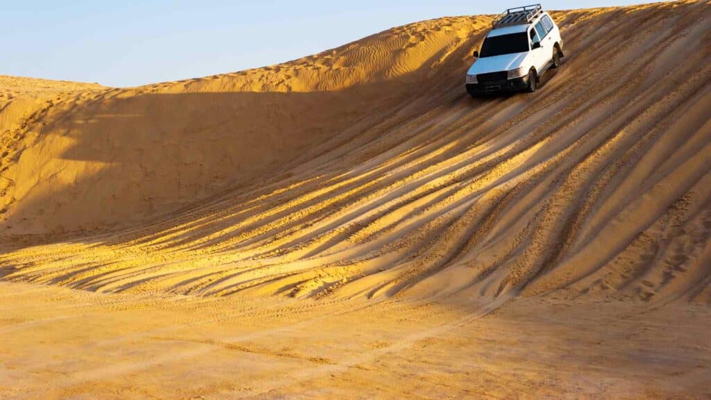 Overview of Dubai Desert Experiences