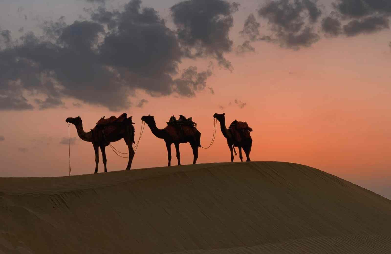 What to Wear on a Dubai Evening Desert Safari: Outfits, Layers, and Arabian Attire